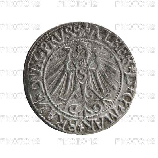 grosz; Schilling, Maciej, publisher; Decjusz, Jost Ludwik (fl. 1528–1535); R0 (rarity). Obverse: Prussian eagle, on its chest a crowned letter S; on the rim between pearl borders an inscription beginning with a trefoil (mirror-image N) ALBER*D*G*MAR*BRAN*DVX*PRVSS. Reverse: male bust in armour in profile turned right; short hair, long pointed beard with sideburns; in the rim, between beaded rims, an inscription beginning with the Hohenzollern shield *IVSTVS*EX*FIDE*VIVIT* I544* (1544). Albrecht Hohenzollern (Prince of Prussia; 1490–1568) — iconography; Hohenzollern coat of arms. Ducal Prussia (1525–1701), Königsberg. Coin: grosz; diameter 23.4 mm; weight 1.74 g; axis 270°.