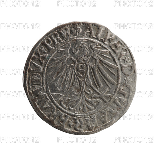 grosz; Schilling, Maciej, publisher; Decjusz, Jost Ludwik (fl. 1528–1535); R3 (rarity). Albrecht Hohenzollern (Prince of Prussia; 1490–1568) — iconography: eagles, Hohenzollern coat of arms, male busts in armor. Obverse: Prussian eagle, on its chest a crowned letter S; in the rim between the pearl borders an erroneous inscription beginning with a trefoil (mirror-image N) ALBER*D*G*MAAR*BRAN*DVX*PRV. Reverse: male bust in armor in profile facing right; short hair, long beard with sideburns, dividing the inner rim; in the rim between the pearly borders an inscription beginning with the Hohenzollern shield — erroneous legend, 1544. Ducal Prussia (1525–1701), Königsberg. Coin: diameter 23.4 mm, weight 1.88 g, axis 225°.
