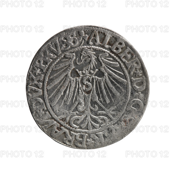 grosz; Schilling, Maciej, publisher; Decjusz, Jost Ludwik (fl. 1528–1535); R3 (rarity); eagles; Albrecht Hohenzollern (Prince of Prussia; 1490–1568) — iconography; Hohenzollern (coat of arms); male busts in armor. Obverse: Prussian eagle, on its chest a crowned letter S. On the rim between the pearl borders an inscription beginning with a trefoil (mirror-image N) ALBER*D*G, *BRAN*DVX*PRVSS. Reverse: male bust in armour in profile turned right; short hair, long beard with sideburns, dividing the inner rim. In the rim, between the pearly borders, an inscription beginning with the Hohenzollern shield *IVSTV, *FIDE*VIVIT*I544*. Date: 1544. Issued in Ducal Prussia (1525–1701), Königsberg. Coin: diameter 23.2 mm, weight 1.73 g, axis 45°.