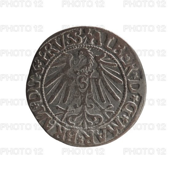 grosz; Schilling, Maciej, publisher; Decjusz, Jost Ludwik (fl. 1528–1535); R0 (rarity). Albrecht Hohenzollern (Prince of Prussia; 1490–1568) — iconography: eagles, Hohenzollern (coat of arms), male busts in armor. Obv.: Prussian eagle, on its chest a crowned letter S. On the rim between the pearl borders an inscription beginning with a trefoil (letter N in mirror image) ALBER*D*G*MAR*BRAN*DVX*PRVSS. Rev.: Male bust in armour in profile to right; short hair, long pointed beard with sideburns, dividing the inner rim. In the rim, between the beaded borders, an inscription beginning with the Hohenzollern shield *IVSTVS*EX*FIDE*VIVIT*I544*. 1544, Königsberg, Ducal Prussia (1525–1701). Coin: diameter 23.2 mm, weight 1.87 g, axis 60°.