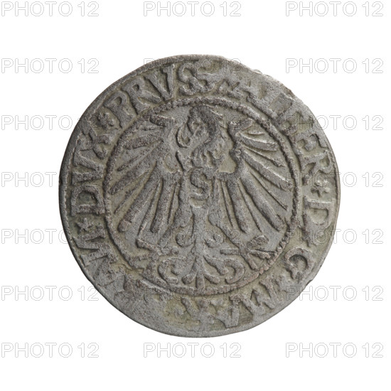 grosz; publisher: Maciej Schilling; engraver: Jost Ludwik Decjusz (fl. 1528–1535); rarity R0. Subject: Albrecht Hohenzollern (Prince of Prussia; 1490–1568). Iconography: Prussian eagle on obverse, on its chest a crowned letter S; in rim between pearl borders an inscription beginning with a trefoil (mirror-image N) ALBER*D*G*MA, AN*DVX*PRVS. Reverse: male bust in armour in profile turned right; short hair, long pointed beard with sideburns; inner rim dividing line; in rim between beaded borders an inscription beginning with the Hohenzollern shield *IVSTVS*EX*FIDE*VIVI, dated 1544, Königsberg, Ducal Prussia (1525–1701). Object: coin (grosz), diameter 23.2 mm, weight 1.75 g, axis 225°.