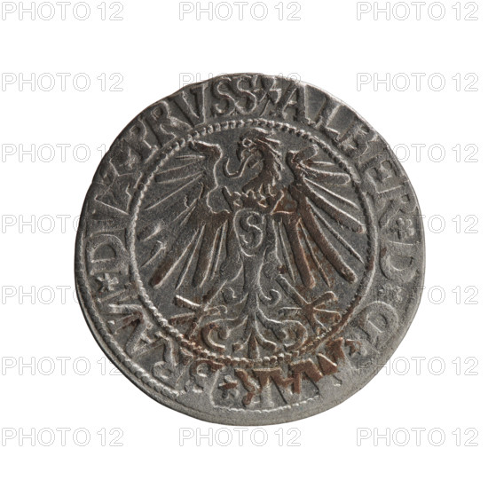 grosz; Schilling, Maciej, publisher; Decjusz, Jost Ludwik (fl. 1528–1535); R0 (rarity); Albrecht Hohenzollern (Prince of Prussia; 1490–1568) — iconography: eagles, Hohenzollern (coat of arms), male busts in armor. Obv.: Prussian eagle, on its chest a crowned letter S; on the rim between the pearl borders an inscription beginning with a trefoil (mirror-image N) ALBER*D*G*MAR*BRAN*DVX*PRVSS. Rev.: Male bust in armour in profile to the right; short hair, long pointed beard with sideburns; dividing the inner rim; in the rim, between the pearly borders, an inscription beginning with the Hohenzollern shield IVSTVS*EX*FIDE*VIVIT*I544*. Date: 1544. Place: Ducal Prussia (1525–1701), Königsberg. Coin: grosz; diameter 23.2 mm; weight 1.91 g; axis 45°.