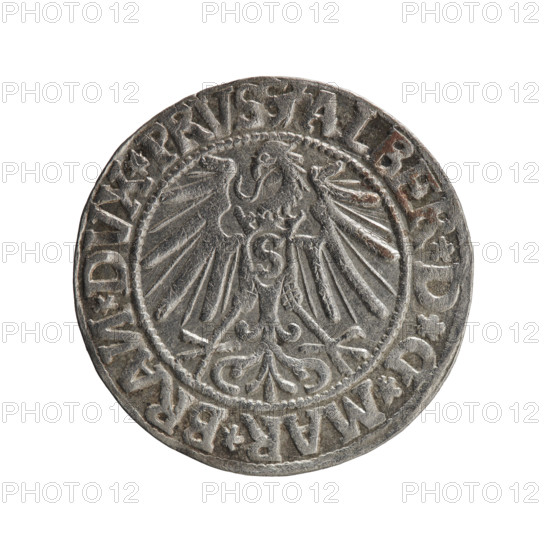 grosz; Schilling, Maciej, publisher; Decjusz, Jost Ludwik (fl. 1528–1535); R0 (rarity); eagles; Albrecht Hohenzollern (Prince of Prussia; 1490–1568) – iconography; Hohenzollern (coat of arms); male busts in armor. Obverse: Prussian eagle, on its chest a crowned letter S. On the rim between the pearl borders an inscription beginning with a trefoil (letter N in mirror image) ALBER*D*G*MAR*BRAN*DVX*PRVSS. Reverse: Male bust in armour in profile turned right; short hair, long pointed beard with sideburns, dividing the inner rim. In the rim, between the beaded rims, an inscription beginning with the Hohenzollern shield *IVSTVS*EX*FIDE*VIVIT*I544*. Date: 1544. Place/function: Ducal Prussia (1525–1701), Königsberg. Coin: diameter 21.4 mm, weight 1.91 g, axis 60°.