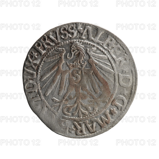 grosz; Schilling, Maciej, publisher; Decjusz, Jost Ludwik (fl. 1528–1535); R0 (rarity). Albrecht Hohenzollern (Prince of Prussia; 1490–1568) — iconography: eagles, Hohenzollern (coat of arms), male busts in armor. Obverse: Prussian eagle, on its chest a crowned letter S; in the rim between the pearl borders an inscription beginning with a trefoil (mirror-image letter N) ALBER*D*G*MAR*, *DVX*PRVSS. Reverse: male bust in armour in profile turned right; short hair, long pointed beard with sideburns, dividing the inner rim; in the rim between the beaded rims an inscription beginning with the Hohenzollern shield *I, VS*EX*FID, *VIVIT*I544*. 1544. Ducal Prussia (1525–1701), Königsberg. Coin: diameter 23.4 mm, weight 1.93 g, axis 90°.