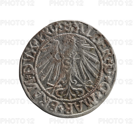 grosz; Schilling, Maciej, publisher; Decjusz, Jost Ludwik (fl. 1528–1535); R0 (rarity); Albrecht Hohenzollern (Prince of Prussia; 1490–1568) — iconography: eagles, male busts in armor, Hohenzollern coat of arms. Obverse: Prussian eagle, on its chest a crowned letter S; on the rim between the pearl borders an inscription beginning with a trefoil (mirror-image letter N) ALBER*D*G*MAR*BRAN*DVX*PRVSS. Reverse: male bust in armour in profile turned right; short hair, long pointed beard with sideburns, dividing the inner rim; in the rim, between the beaded rims, an inscription beginning with the Hohenzollern shield *IVSTVS*EX*FIDE*VIVIT*I544*. Date: 1544. Place: Ducal Prussia (1525–1701), Königsberg. Object: coin (grosz); diameter 23.4 mm; weight 1.92 g; axis 80°.