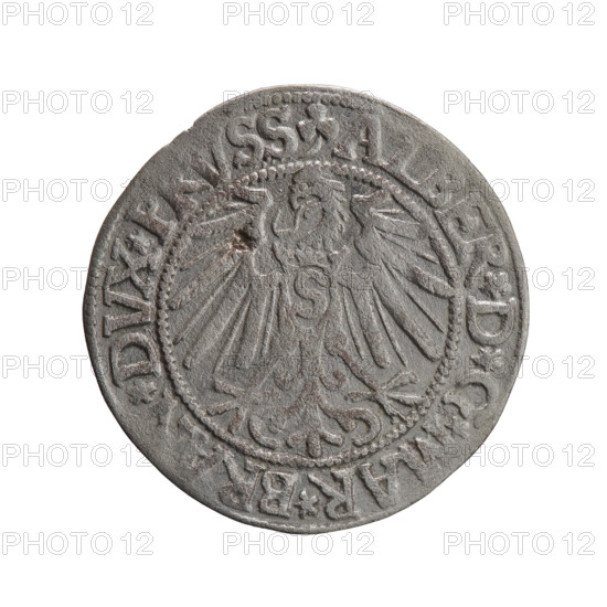 grosz; Schilling, Maciej, publisher; Decjusz, Jost Ludwik (fl. 1528–1535); iconography: eagles, Hohenzollern (coat of arms), male busts in armour. Obv.: Prussian eagle, on its chest a crowned letter S; in the rim between the pearl borders an inscription beginning with a trefoil ALBER*D*G, AR*. Rev.: male bust in armour in profile turned to the right; short hair, long pointed beard with sideburns, dividing the inner rim; in the rim between the pearly borders an inscription beginning with the Hohenzollern shield *IVSTVS*EX*FIDE*, VIT*I545*. 1545. Ducal Prussia (1525–1701), Königsberg. Coin: diameter 23.7 mm; weight 1.89 g; axis 140°.