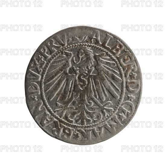 grosz; Schilling, Maciej, publisher; Decjusz, Jost Ludwik (fl. 1528–1535); eagles; Albrecht Hohenzollern (Prince of Prussia; 1490–1568) — iconography; Hohenzollern (coat of arms); male busts in armour. Obverse: Prussian eagle, on its chest a crowned letter S; in the rim between the pearl borders an inscription beginning with a trefoil ALBER*D*G*MA, *BRAN*DVX*PRV. Reverse: Male bust in armour in profile turned to the right; short hair, long pointed beard with sideburns; dividing the inner rim; in the rim, between the pearly borders, an inscription beginning with the Hohenzollern shield *IVSTVS*EX*FI, E*VIVIT* I545*. Date: 1545. Place: Ducal Prussia (1525–1701), Königsberg. Coin: diameter 23.2 mm; weight 1.88 g; axis 180°.