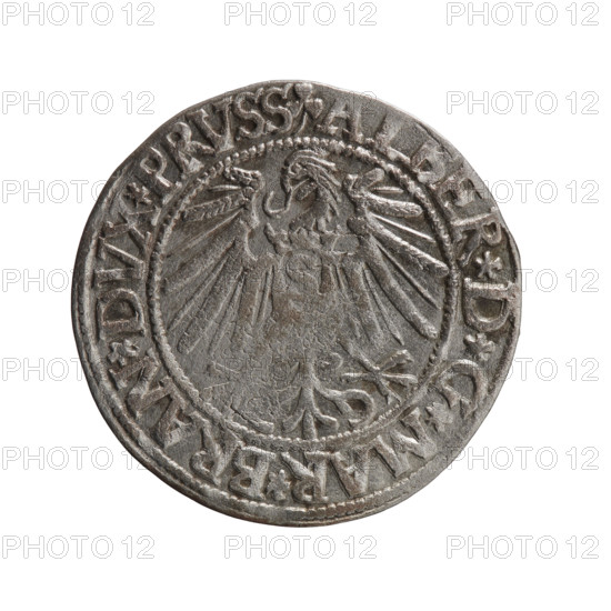 Maker: grosz; Schilling, Maciej, publisher; Decjusz, Jost Ludwik (fl. 1528–1535) WQXBCFS
I:\nmw crop ready cleaned\Subject/Inscription: Albrecht Hohenzollern (Prince of Prussia; 1490–1568) WQXBCFS
I:\nmw crop ready cleaned\Iconography: eagles; male busts in armour; Hohenzollern coat of arms WQXBCFS
I:\nmw crop ready cleaned\Obverse: Prussian eagle, on its chest a crowned letter S; on the rim between pearl borders an inscription beginning with a trefoil: ALBER*D*G*MAR*BRAN*DVX*PRVSS WQXBCFS
I:\nmw crop ready cleaned\Reverse: Male bust in armour in profile turned to the right; short hair, long pointed beard with sideburns; Hohenzollern shield in the rim between pearly borders; inscription beginning with *IVSTVS*EX*FIDE*VIVIT*I545* WQXBCFS
I:\nmw crop ready cleaned\Date: 1545 WQXBCFS
I:\nmw crop ready cleaned\Place/State: Ducal Prussia (1525–1701), Königsberg WQXBCFS
I:\nmw crop ready cleaned\Object type: coin WQXBCFS
I:\nmw crop ready cleaned\Measurements: diameter 23.7 mm; weigh...