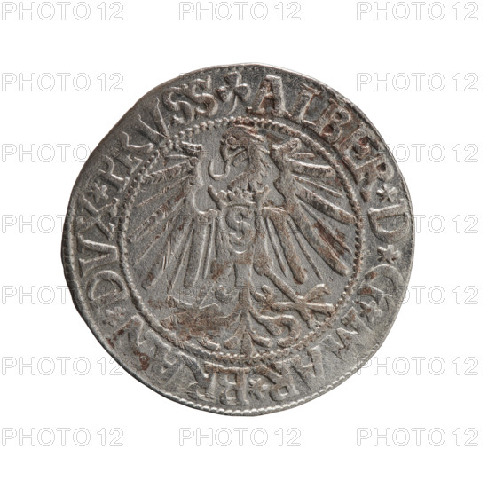 grosz, Decius, Jost Ludwik (fl. 1528-1535), Schilling, Maciej, publisher, Albrecht Hohenzollern (Prince of Prussia; 1490-1568) - iconography, eagles, male busts in armour, Hohenzollern (coat of arms). Obv. Prussian eagle; on his chest a crowned letter S. On the rim between the pearl borders an inscription beginning with a trefoil: ALBER*D*G*MAR*BRAN*DVX*PRVSS. Rev. Male bust in armour in profile turned to the right; short hair, long pointed beard with sideburns, dividing the inner rim. In the rim, between the pearly borders, an inscription beginning with the Hohenzollern shield: IVSTVS*EX*FIDE*VIVIT*I545*. 1545, Königsberg, Ducal Prussia (1525–1701). Coin; diameter 23.2 mm; weight 1.93 g; axis 160°.