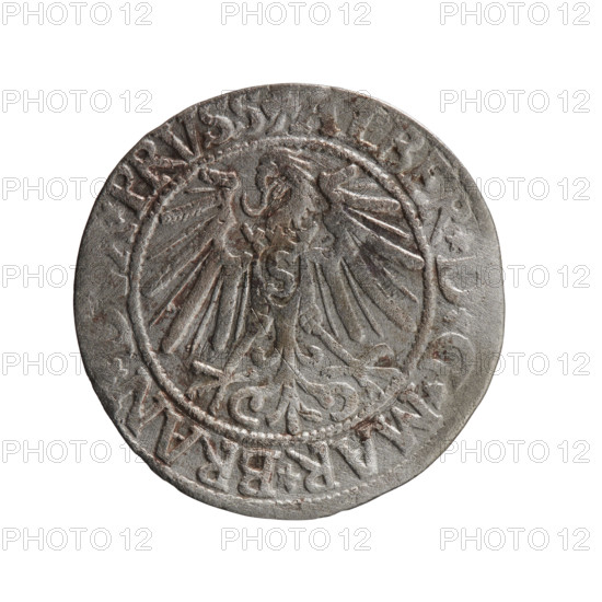 grosz; publisher: Schilling, Maciej; maker: Decjusz, Jost Ludwik (fl. 1528-1535); 1545. Ducal Prussia (1525–1701), Königsberg. Coin (grosz), diameter 23.4 mm, weight 2.00 g, axis 270°. Obverse: Prussian eagle, on its chest a crowned letter S; in rim between pearl borders an inscription beginning with a trefoil ALBER*D*G*MAR*BRAN*, *PRVSS. Reverse: male bust in armour in profile turned right; short hair, long pointed beard with sideburns; Hohenzollern shield; in rim between pearl borders an inscription beginning with *IVSTVS*EX*FIDE*VIVIT* I545*. Iconography: Albrecht Hohenzollern (Prince of Prussia; 1490–1568) — Hohenzollern coat of arms; male busts in armour.