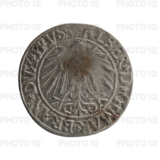 Obverse: Prussian eagle. On the rim, between the pearl borders, an inscription beginning with a trefoil ALBER*D*G*MAR*BRAN*DVX*PRVS. Reverse: Male bust in armour in profile turned right; short hair, long pointed beard with sideburns, dividing the inner rim. In the rim, between the pearly borders, an inscription beginning with the Hohenzollern shield *IVSTVS*EX*FIDE*VIVIT*I545*. Maker/publisher: grosz, Schilling, Maciej; Decjusz, Jost Ludwik (fl. 1528–1535). Subject/iconography: Albrecht Hohenzollern (Prince of Prussia; 1490–1568), Hohenzollern coat of arms, eagles, male busts in armour. Date: 1545. Place/authority: Ducal Prussia (1525–1701), Königsberg. Object: coin; diameter 23.4 mm; weight 1.83 g; axis 40°.