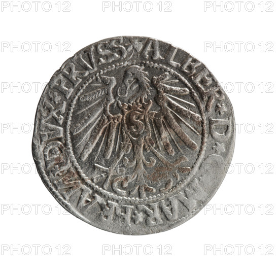 grosz, Schilling, Maciej, publisher, Decjusz, Jost Ludwik (fl. 1528-1535), Albrecht Hohenzollern (Prince of Prussia; 1490-1568) - iconography, eagles, Hohenzollern (coat of arms), male busts in armor. Obv.: Prussian eagle, on its chest a crowned letter S; on the rim between the pearl borders an inscription beginning with a trefoil (letter N in mirror image) ALBER*D*, MAR*BRAN*DVX*PRVSS. Rev.: Male bust in armour in profile turned to the right; short hair, long pointed beard with sideburns, dividing the inner rim; in the rim, between the beaded rims, an inscription beginning with the Hohenzollern shield *IVSTVS*EX*FIDE*VIVIT*I54. 1545, Ducal Prussia (1525–1701), Königsberg; coin: diameter 23.5 mm, weight 2.05 g, axis 270°.