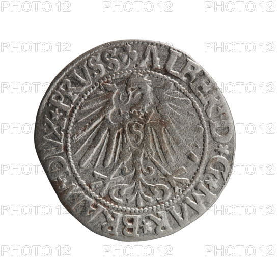 grosz; Schilling, Maciej, publisher; Decjusz, Jost Ludwik (fl. 1528–1535); Albrecht Hohenzollern (Prince of Prussia; 1490–1568) — iconography: eagles, Hohenzollern coat of arms, male busts in armor. Obverse: Prussian eagle with on its chest a crowned letter S; in the rim between the pearl borders an inscription beginning with a trefoil (mirror-image N) 'ALBER*D*G*MAR*BRAN*DVX*PRVSS'. Reverse: male bust in armour in profile turned right; short hair, long pointed beard with sideburns, dividing the inner rim; in the rim, between the beaded rims, an inscription beginning with the Hohenzollern shield '*IVSTVS*EX*FIDE*VIVIT*I545*'. Dated 1545. Ducal Prussia (1525–1701), Königsberg. Coin: diameter 23.4 mm, weight 1.87 g, axis 0°.
