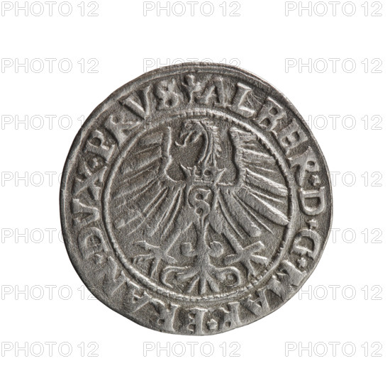 grosz, Schilling, Maciej; eagles; Albrecht Hohenzollern (Prince of Prussia; 1490–1568) — iconography; Hohenzollern (coat of arms); male busts in armour. Obv.: Prussian eagle, on his chest the crowned letter S; in the rim, between the pearl-shaped borders, an inscription beginning with a trefoil ALBER*D*G*MAR*BRAN*DVX*PRVS. Rev.: male bust in armour in profile turned to the right; short hair, long pointed beard with sideburns, dividing the inner border; in the rim, between the pearl-shaped borders, an inscription beginning with the Hohenzollern shield *IVSTVS*EX*FIDE*VIVIT*I546*. 1546. Ducal Prussia (1525–1701). Coin; diameter 22.6 mm; weight 1.85 g; axis 220°.
