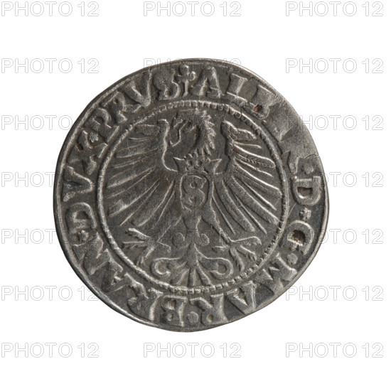 grosz, Schilling, Maciej; Albrecht Hohenzollern (Prince of Prussia; 1490–1568) – iconography; Hohenzollern (coat of arms); male busts in armor. Obv.: Prussian eagle, on its chest the crowned letter S; in the rim, between pearl-shaped borders, an inscription beginning with a trefoil AL *D*G*MAR*BRAN*DVX*PRVS. Rev.: male bust in armor in profile turned to the right; short hair, long pointed beard with sideburns, dividing the inner border; in the rim, between pearl-shaped borders, an inscription beginning with the Hohenzollern shield *IVST,*EX*FIDE*VIVIT*I546*. Date: 1546. Place: Ducal Prussia (1525–1701), Königsberg. Object: coin (grosz/schilling); diameter 22.7 mm; weight 1.75 g; axis 220°.