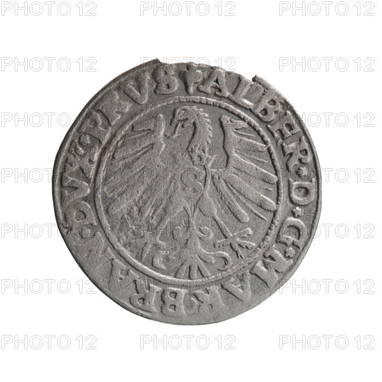 grosz, Schilling, Maciej, Albrecht Hohenzollern (Prince of Prussia; 1490–1568) — iconography: eagles, Hohenzollern (coat of arms), male busts in armor. Obverse: Prussian eagle, on its chest the crowned letter S; in the rim, between pearl-shaped borders, an inscription beginning with a trefoil ALBER*D*G*MA, BRAN*DVX*PRVS. Reverse: male bust in armor in profile turned to the right; short hair, long pointed beard with sideburns, dividing the inner border; in the rim, between the pearl-shaped borders, an inscription beginning with the Hohenzollern shield *IVSTVS*EX*FIDE*VIVIT* I546*. Date: 1546. Place/function: Ducal Prussia (1525–1701), Königsberg. Coin: diameter 22.7 mm, weight 1.79 g, axis 315°.
