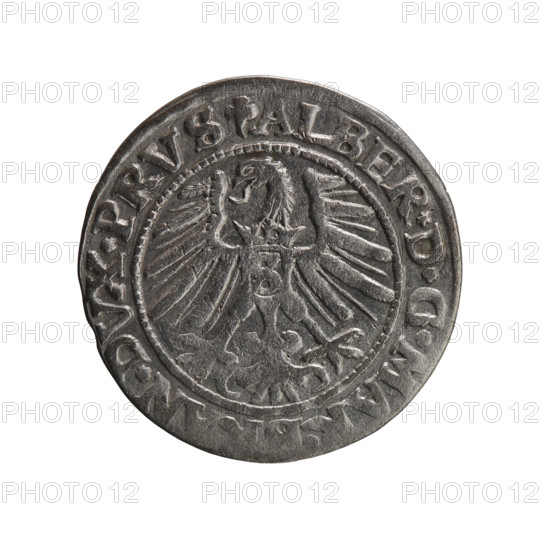 grosz; Schilling; Maciej; eagles; Albrecht Hohenzollern (Prince of Prussia; 1490–1568) — iconography; Hohenzollern (coat of arms); male busts in armour. Obverse: Prussian eagle, on its chest the crowned letter S. On the rim, between the pearl borders, an inscription beginning with a trefoil ALBER*D*G*MA, N*DVX*PRVS. Reverse: male bust in armour in profile turned to the right; short hair, long pointed beard with sideburns, separating the inner border. In the rim between the pearl borders an inscription starting with the Hohenzollern shield *IVSTVS*EX*FIDE*, IT*I546*. 1546, Königsberg, Ducal Prussia (1525–1701). Coin: diameter 22.6 mm, weight 1.89 g, axis 315°.