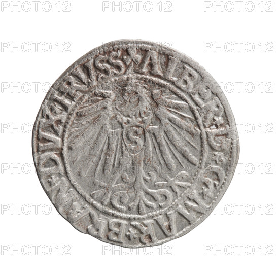Albrecht Hohenzollern (Prince of Prussia; 1490–1568) — coin, Ducal Prussia (1525–1701), Königsberg, 1546; diameter 23.6 mm, weight 1.80 g, axis 150°. Obverse: Prussian eagle, on its chest the crowned letter S; in the rim between pearl-shaped borders an inscription beginning with a trefoil: ALBER*D*G*MAR*BRAN*DVX*PRVSS. Reverse: male bust in armor in profile turned to the right; short hair, long pointed beard with sideburns, dividing the inner border; in the rim between pearl-shaped borders an inscription beginning with the Hohenzollern shield: *IVSTVS*, *FIDE*VIVIT*I546*. Hohenzollern coat of arms, eagles.