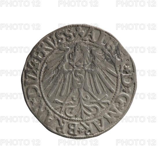 grosz; Schilling, Maciej; eagles; Albrecht Hohenzollern (Prince of Prussia; 1490–1568) — iconography; Hohenzollern (coat of arms); male busts in armor. Obverse: Prussian eagle, on its chest the crowned letter S; in the rim, between pearl-shaped borders, an inscription beginning with a trefoil ALB, *D*G*MAR*BRAN*DVX*PRVSS. Reverse: male bust in armor in profile turned to the right; short hair, long pointed beard with sideburns, dividing the inner border; in the rim, between pearl-shaped borders, an inscription beginning with the Hohenzollern shield *IVSTVS*EX*F, E*VIVIT*I546*; date 1546. Ducal Prussia (1525–1701), Königsberg; coin; diameter 23.3 mm; weight 1.89 g; axis 135°.
