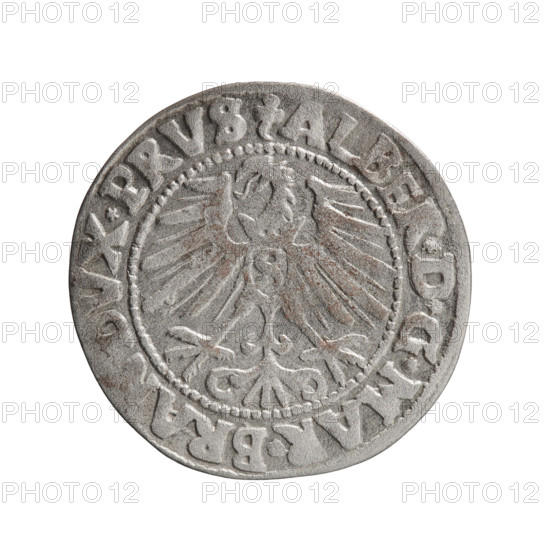 grosz, Schilling, Maciej, Albrecht Hohenzollern (Prince of Prussia; 1490–1568) - iconography, Hohenzollern (coat of arms), male busts in armor, eagles. Obv.: Prussian eagle, on its chest a crowned letter S; in the rim between pearl-shaped borders an inscription beginning with a trefoil ALBER*D*G*MAR*BRAN, VX*PRVS. Rev.: Male bust in armor in profile turned to the right; short hair, long pointed beard with sideburns, dividing the inner border; in the rim between the pearl-shaped borders an inscription beginning with the Hohenzollern shield *IVSTVS*EX*FIDE*VIVIT* I547*. 1547, Ducal Prussia (1525–1701), Königsberg. Coin: diameter 23.3 mm, weight 1.87 g, axis 50°.