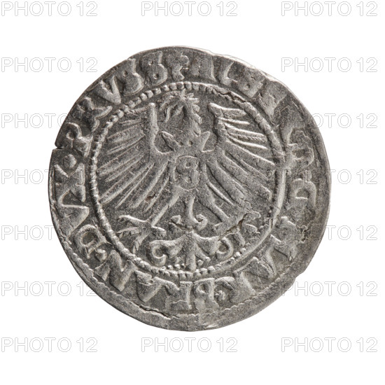 grosz, Schilling, Maciej, eagles, Albrecht Hohenzollern (Prince of Prussia; 1490–1568) - iconography, Hohenzollern (coat of arms), male busts in armor. Obv.: Prussian eagle, on its chest the crowned letter S; in the rim, between the pearl-shaped borders, an inscription beginning with a trefoil ALBER*D*G*MAR*BRAN*DVX*PRVSS. Rev.: Male bust in armor in profile turned to the right; short hair, long pointed beard with sideburns, dividing the inner border; in the rim, between the pearl-shaped borders, an inscription beginning with the Hohenzollern shield *IVSTVS*EX*FI, E*VI, IT*I547*; date 1547. Ducal Prussia (1525–1701), Königsberg; coin, diameter 23.3 mm, weight 1.87 g, axis 45°.