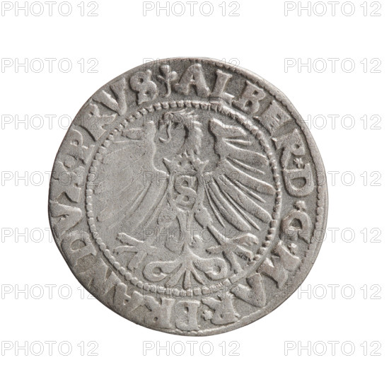 grosz; Schilling, Maciej; eagles; Albrecht Hohenzollern (Prince of Prussia; 1490–1568) — iconography; Hohenzollern (coat of arms); male busts in armor. Obverse: Prussian eagle, on its chest the crowned letter S; in the rim, between the pearl-shaped borders, an inscription beginning with a trefoil ALBER*D*G*MAR*BRAN, DVX*PRVS. Reverse: male bust in armor in profile turned to the right; short hair, long pointed beard with sideburns, dividing the inner border; in the rim, between the pearl-shaped borders, an inscription beginning with the Hohenzollern shield *IV, TV, *EX*FIDE*VIVIT* I547*. Date: 1547. Region: Ducal Prussia (1525–1701), Königsberg. Coin: diameter 22.8 mm, weight 1.95 g, axis 60°.
