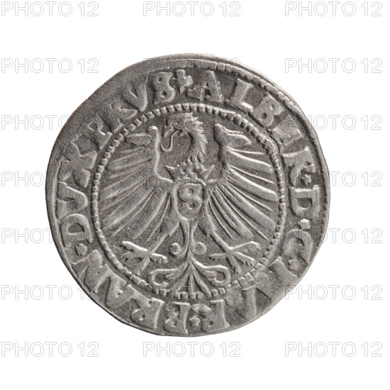 grosz, Schilling, Maciej; Albrecht Hohenzollern (Prince of Prussia; 1490–1568) — iconography: Hohenzollern coat of arms, male busts in armor. Obv.: Prussian eagle, on its chest the crowned letter S; in the rim, between pearl-shaped borders, an inscription beginning with a trefoil ALBER*D*G, AR*BRAN*DVX, PRVS. Rev.: Male bust in armor in profile turned to the right; short hair, long pointed beard with sideburns, dividing the inner border; in the rim, between pearl-shaped borders, an inscription beginning with the Hohenzollern shield *IVSTVS*, X*FIDE*VIVIT*I547*. Date: 1547. Place: Ducal Prussia (1525–1701), Königsberg. Object: coin (grosz/Schilling), diameter 23.0 mm, weight 1.96 g, axis 90 degrees.