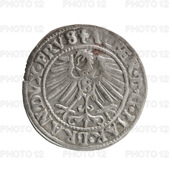 grosz, Schilling, Maciej, Albrecht Hohenzollern (Prince of Prussia; 1490–1568) — iconography: eagles, Hohenzollern (coat of arms), male busts in armor. Obverse: Prussian eagle, on its chest a crowned letter S; in the rim between pearl-shaped borders an inscription beginning with a trefoil ALBER*D*G*MAR*BRAN, DVX*PRVS. Reverse: male bust in armor in profile turned to the right; short hair, long pointed beard with sideburns, dividing the inner border; in the rim between pearl-shaped borders an inscription beginning with the Hohenzollern shield *IVSTVS*EX*FIDE, VIVIT*I548*. Date 1548; Ducal Prussia (1525–1701), Königsberg. Coin: diameter 23.6 mm, weight 1.92 g, axis 120°.