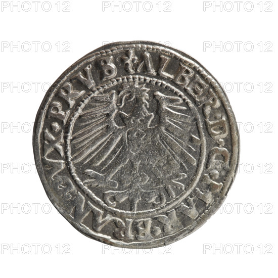 grosz, Schilling, Maciej, Albrecht Hohenzollern (Prince of Prussia; 1490–1568) - iconography, eagles, male busts in armor, Hohenzollern (coat of arms). Obv.: Prussian eagle, on its chest the crowned letter S; in the rim, between the pearl-shaped borders, an inscription beginning with a trefoil ALBER*D*G*MAR*BRAN*DVX*PRVS. Rev.: Male bust in armor in profile turned to the right; short hair, long pointed beard with sideburns, dividing the inner border; in the rim, between the pearl-shaped borders, an inscription beginning with the Hohenzollern shield *IVSTVS*EX*FIDE*VIVIT*I548*. 1548, Ducal Prussia (1525–1701), Königsberg. Coin: diameter 23.7 mm, weight 1.97 g, axis 135°.