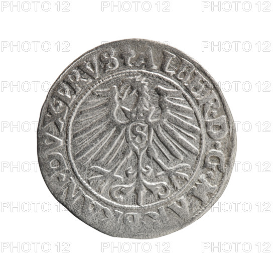 grosz, eagles, Albrecht Hohenzollern (Prince of Prussia; 1490–1568) – iconography, Hohenzollern (coat of arms), male busts in armor. Obv.: Prussian eagle, on its chest a crowned letter S; on the rim, between pearl-shaped borders, an inscription beginning with a trefoil ALBER*D*G*MAR, N*DVX*PRVS. Rev.: male bust in armor in profile turned to the right; short hair, long pointed beard with sideburns, dividing the inner border; on the rim, between pearl-shaped borders, an inscription beginning with the Hohenzollern shield *IVS, EX*FIDE*VIVIT* I550*. Date: 1550. Place: Ducal Prussia (1525–1701), Königsberg. Object: coin (grosz). Diameter: 23.0 mm; weight: 1.85 g; axis: 80°.