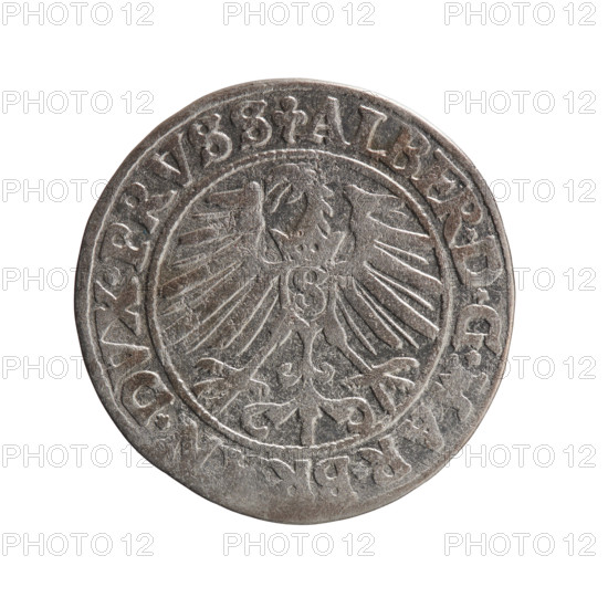 groschen, Albrecht Hohenzollern (Prince of Prussia; 1490–1568) - iconography: eagles, male busts in armor, Hohenzollern coat of arms. Obverse: Prussian eagle, on its chest a crowned letter S; on the rim between pearl-shaped borders an inscription beginning with a trefoil ALBER*D*G*MAR*BR, N*DVX*PRVSS. Reverse: male bust in armor in profile turned to the right; short hair, long pointed beard with sideburns, dividing the inner border; on the rim between the pearl-shaped borders an inscription beginning with the Hohenzollern shield *IVSTVS*EX*FID, VIVIT*I550*. Date: 1550. Place: Ducal Prussia (1525–1701), Königsberg. Coin: diameter 23.0 mm, weight 1.86 g, axis 315°.