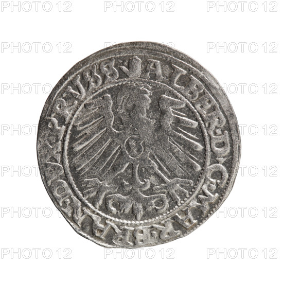 grosz, eagles, Albrecht Hohenzollern (Prince of Prussia; 1490–1568) — iconography: Hohenzollern coat of arms, male bust in armor. Obverse: Prussian eagle, on its chest the crowned letter S; on the rim, between pearl-shaped borders, an inscription beginning with a tower mintmaster's mark; between words, points: ALBER DG MAR BRAN DVX PRVSS Rw. Reverse: male bust in armor in profile facing right; short hair, long pointed beard with sideburns, dividing the inner rim; on the rim, between pearl-shaped borders, an inscription beginning with the Hohenzollern shield; between words, points: IVSTVS EX FIDE VIVIT. 1558. Ducal Prussia (1525–1701), Königsberg. Coin: diameter 23.4 mm, weight 1.90 g, axis 225°.