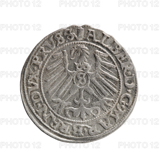 grosz, Albrecht Hohenzollern (Prince of Prussia; 1490-1568) - iconography, eagles, Hohenzollern (coat of arms), male busts in armor. Obv. Prussian eagle, on its chest the crowned letter S. On the rim, between the pearl-shaped borders, an inscription beginning with a tower - the mint master's mark. Between the words, points. ALBER DG MAR BRAN DVX PRVSS Rv. Male bust in armor in profile turned to the right; short hair, long pointed beard with sideburns, dividing the inner rim. On the rim, between the pearl-shaped borders, an inscription beginning with the Hohenzollern shield. Between the words, points. IVSTVS EX FIDE VIVIT. 1558. Ducal Prussia (1525–1701), Königsberg. Coin: diameter 23.2 mm, weight 2.18 g, axis 60°