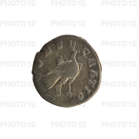 Denarius, Marcus Aurelius (121–180; Roman emperor 161–180), Faustina the Younger (ca. 130–176; Roman empress 161–176, posthumously). Obverse: AV. DIVA FAVSTINA PIA — draped bust of the empress right, hair in waves tied in a bun, pearl border. Reverse: CONSECRATIO — peacock standing right, pearl border. Date: 176–180. Roman Empire (27 BC–476), Rome. Coin; weight 3.36 g.