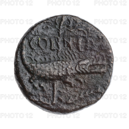 Octavian Augustus (63 BC–14; Roman emperor 27 BC–14), crocodile chained to a palm tree, heads of Augustus and Agrippa, palm trees, laurel wreath. Obverse: IMP/ DIVI F above and below the image; heads—Augustus on the right and Agrippa on the left, back to back; Augustus bareheaded, Agrippa with a rostral crown and laurel wreath. Reverse: COL NEM above a crocodile facing right; above it a palm branch. Ca. 20–10 BC, Roman Empire (27 BC–476). Coin; weight 11.03 g; axis 225°.