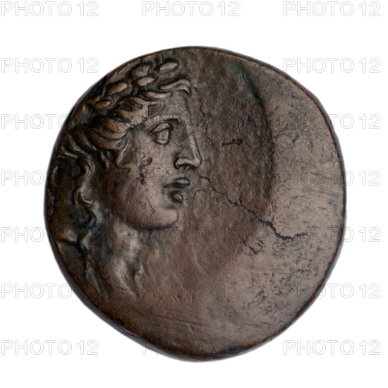 Bronze coin, Gorgippia; obverse: head of Apollo in a laurel wreath facing right, hair combed up, two curled locks on the neck; reverse: tripod with a thyrsus behind it positioned diagonally to the right, monogram in the right field; iconography: head of Apollo, tripod, thyrsus; inscriptions/marks: monograms; maker: Terlecki, Ignatius (1860–1916) [associated name]; culture/region: Cimmerian Bosporus, Gorgippia (Black Sea); date: 1st quarter of the 1st century BC (95–65 BC per Frolov); material: bronze; function: coin; weight: 9.95 g; dimensions: 22.7 mm and 22.2 mm.