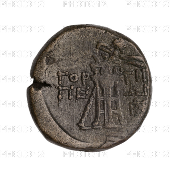 bronze coin, Gorgippia; obverse: head of Apollo in a laurel wreath facing right, hair combed up with two curled locks on the neck; reverse: tripod with a thyrsus behind it positioned diagonally to the right, right field with a monogram; iconography: head of Apollo, thyrsus, tripod; mythological: Apollo; Cimmerian Bosporus, Gorgippia; dated 1st quarter of the 1st century BC (95–65 BC per Frolov); maker: Terlecki, Ignacy (1860–1916) noted; coin; weight 8.05 g; diameter 21.4 mm and 21.1 mm.