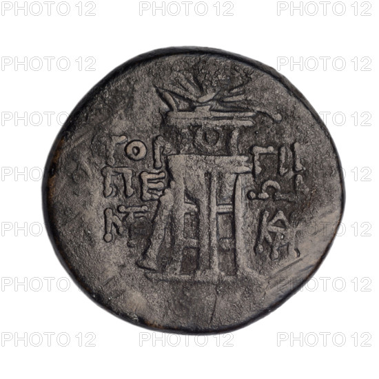 bronze coin, Gorgippia; obverse: head of Apollo in a laurel wreath facing right, hair combed up, two curled locks on the neck; reverse: tripod, behind it a thyrsus with a ribbon positioned diagonally to the right, in the left and right fields a monogram; 1st quarter of the 1st century BC (95–65 BC); Cimmerian Bosporus, Gorgippia; coin; weight 7.40 g; dimensions 22.1 mm and 23.3 mm