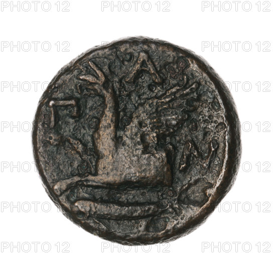 bronze coin, Pantikapaion, protoma of a griffin (iconographic), head of a Satyr (iconographic), Black Sea; Satyr (mythology), griffins, fish, sturgeons, provenance; obv.: head of a bearded Satyr without a wreath to the right; rev.: protoma of an eagle-headed griffin to the left, sturgeon at the bottom to the left, letters on the sides and top; 330–315 BC, Cimmerian Bosporus, Pantikapaion; coin, weight 8.85 g, diameter ~21.2–21.5 mm