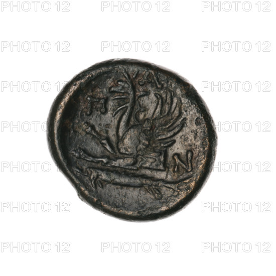 bronze coin, Pantikapaion; obverse: head of a bearded Satyr without a wreath to the right; reverse: protoma of an eagle-headed griffin to the left, at the bottom a sturgeon to the left, letters on the sides and top; iconography: protoma of a griffin, head of a Satyr, Satyr (mythology), griffins, fish, sturgeons; date: 330–315 BC; region: Cimmerian Bosporus, Pantikapaion; material: bronze; function: coin; weight: 7.37 g; dimensions: 19.9 mm × 21.1 mm