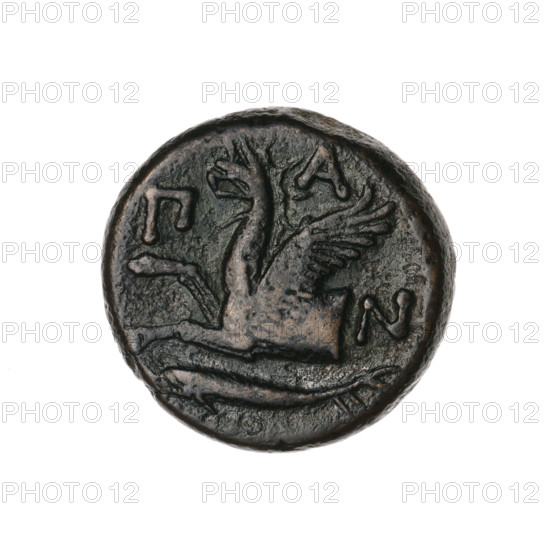 Bronze coin (330–315 BC), Pantikapaion, Cimmerian Bosporus. Obverse: head of bearded Satyr without wreath facing right. Reverse: eagle-headed griffin protoma facing left, sturgeon at lower left, letters on sides and top. Iconography: griffin protoma, Satyr's head; motifs include griffins, fish/sturgeons. Weight 7.28 g; diameters ~20.1–20.5 mm.