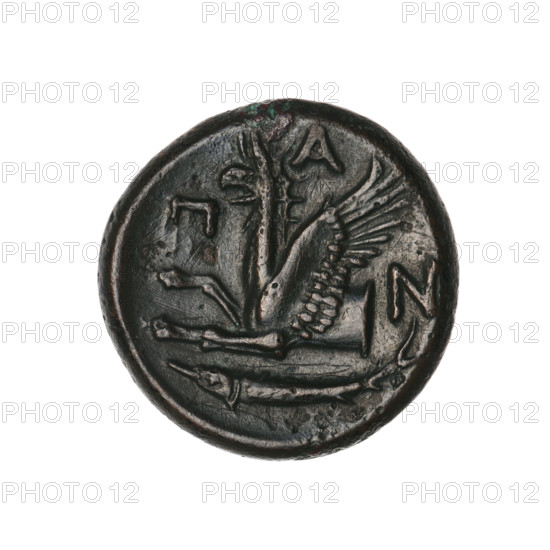 bronze coin, Pantikapaion; protoma of a griffin (iconographic); head of a Satyr (iconographic); Satyr (mythology); griffins; fish; sturgeons; obv.: head of a bearded Satyr without a wreath to the right; rev.: protoma of an eagle-headed griffin to the left, at the bottom a sturgeon to the left, letters on the sides and top; 330–315 BC; Cimmerian Bosporus, Pantikapaion; coin; weight 7.12 g; diameter 22.1 mm