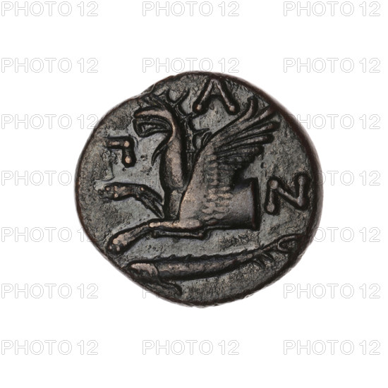 bronze coin, Pantikapaion; obverse: head of a bearded Satyr without a wreath to the right; reverse: protoma of an eagle-headed griffin to the left, at the bottom a sturgeon to the left, letters on the sides and top; iconography: protoma of a griffin, head of a Satyr, fish (sturgeon); Satyr (mythology), griffins; 330–315 BC, Cimmerian Bosporus, Pantikapaion; coin; weight 6.85 g; diameters 20.2 mm and 21.5 mm
