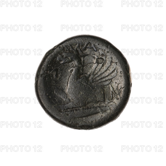 Bronze coin, Pantikapaion; obverse: head of a bearded Satyr without a wreath to the right; reverse: protoma of an eagle-headed griffin to the left, at the bottom a sturgeon to the left, letters on the sides and top; iconography: protoma of a griffin, head of a Satyr; motifs: Satyr (mythology), griffins, fish, sturgeons; date: 330–315 BC; region: Cimmerian Bosporus, Pantikapaion; function: coin; weight: 6.58 g; axis: 120°; dimensions: 19.9 mm × 20 mm.