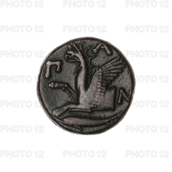Bronze coin, Pantikapaion; obv.: head of a bearded Satyr without a wreath to the right; rev.: protoma of an eagle-headed griffin to the left, at the bottom a sturgeon to the left, letters on the sides and top; iconography: protoma of a griffin, head of a Satyr, griffins, fish, Satyr (mythology), sturgeons; date: 330–315 BC; place: Cimmerian Bosporus, Pantikapaion; maker: Terlecki, Ignacy (1860–1916) noted (attribution/record); coin; weight 6.52 g; dimensions: 19.2 × 19.1 mm.