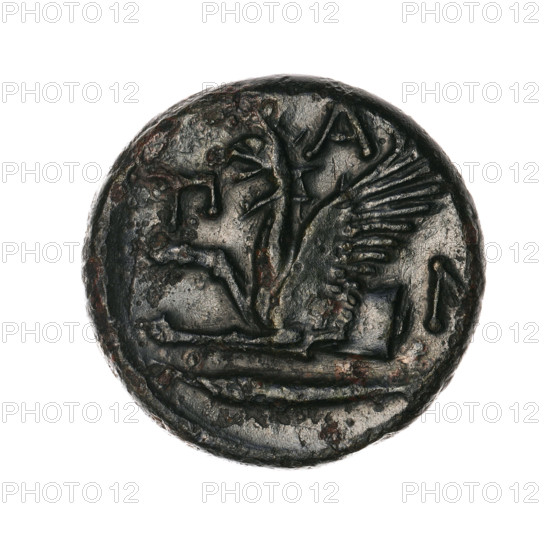 Bronze coin, Pantikapaion; protoma of a griffin (iconographic); head of a Satyr (iconographic); Black Sea region; Satyr (mythology), griffins, fish, sturgeons. Obverse: head of a bearded Satyr without a wreath to the right. Reverse: protoma of an eagle-headed griffin to the left, at the bottom a sturgeon to the left; letters on the sides and top. Date: 330–315 BC. Place: Cimmerian Bosporus, Pantikapaion. Medium: coin. Weight: 6.52 g. Dimensions: 20.4 mm; 20.8 mm.