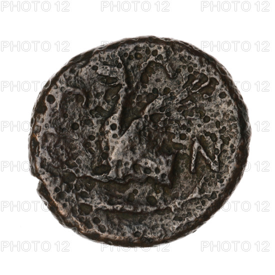 Bronze coin from Pantikapaion (Cimmerian Bosporus), 330–315 BC. Obverse: head of a bearded Satyr without a wreath facing right. Reverse: protoma of an eagle-headed griffin facing left; at bottom a sturgeon facing left; letters on the sides and top. Iconography: protoma of a griffin, head of a Satyr; motifs include satyr, griffin, fish (sturgeon). Maker: Pantikapaion. Coin. Weight 6.15 g; dimensions: 20.5 mm and 22 mm.