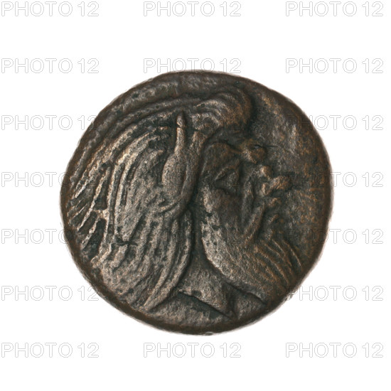 Bronze coin, Pantikapaion; obverse: head of a bearded Satyr without a wreath facing right; reverse: protoma of an eagle-headed griffin facing left, sturgeon at lower left, letters on sides and top. Iconography: protoma of a griffin, head of a Satyr, Satyr (mythological), griffins, fish, sturgeons. Date: 330–315 BC. Region: Cimmerian Bosporus (Pantikapaion). Weight: 5.96 g. Axis: 300°. Dimensions: 19.2 mm × 19.8 mm.