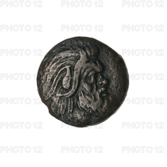 Bronze coin, Pantikapaion; obverse: head of bearded Satyr without wreath facing right; reverse: eagle-headed griffin protoma facing left, sturgeon at lower left, letters on sides and top; iconography: griffin protoma, Satyr head, fish, sturgeons; mythological: Satyr; Black Sea region; Cimmerian Bosporus, Pantikapaion; date: 330–315 BC; weight: 5.50 g; diameters: 19.6 mm and 19.8 mm.