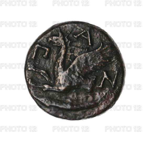Bronze coin, Pantikapaion; obverse: head of a bearded Satyr without a wreath facing right; reverse: protoma of an eagle-headed griffin facing left, with a sturgeon below facing left, letters on the sides and top. Iconography: protoma of a griffin, head of a Satyr. Subject motifs: Satyr (mythology), griffins, fish, sturgeons. Date: 330–315 BC. Place: Cimmerian Bosporus, Pantikapaion. Material/function: coin; weight 5.24 g; axis 270°; dimensions 20 mm × 19.6 mm. Maker/attribution: Pantikapaion.